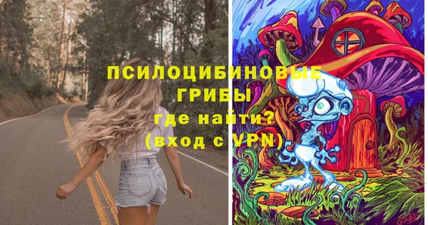 ECSTASY Липки