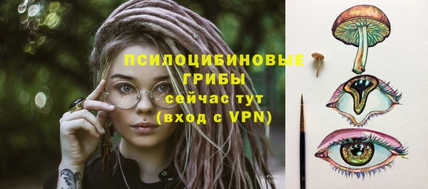 мдпв Лихославль