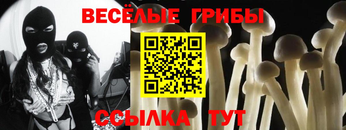 Псилоцибиновые грибы GOLDEN TEACHER Скопин